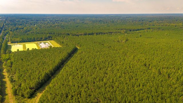 TBD Garner Road, Goodrich, TX 77335