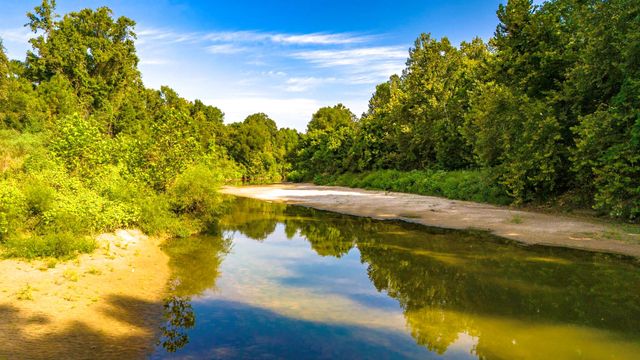 TBD Garner Road, Goodrich, TX 77335