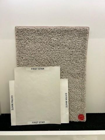 21606 Tumble Mustard Lane, Cypress, TX 77433