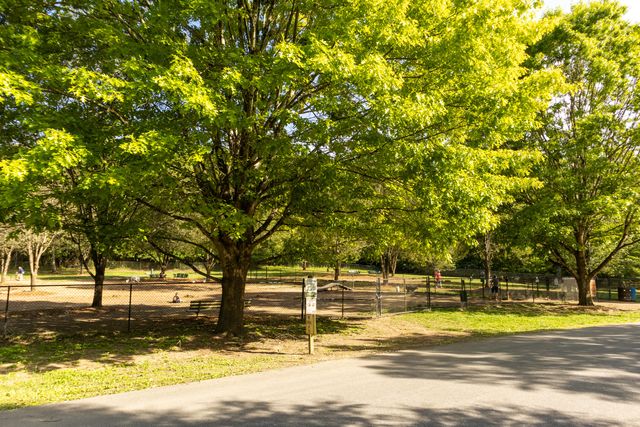 1663 Destiny Drive 12, Hixson, TN 37343