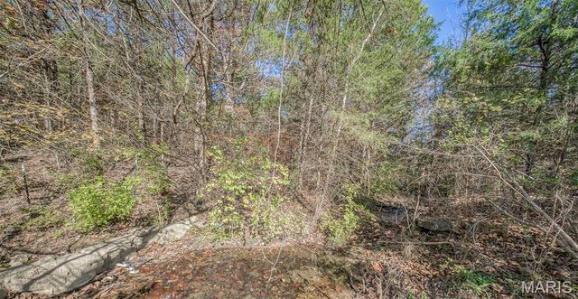 17025 Lariat Lane, Dixon, MO 65459