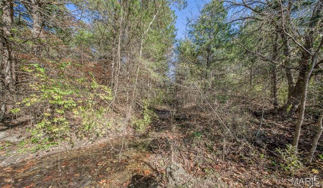 17025 Lariat Lane, Dixon, MO 65459