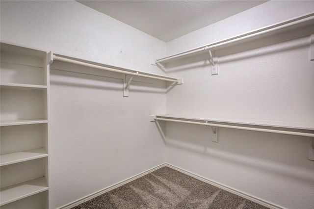 1015 Midnight Pass, Rockwall, TX 75087
