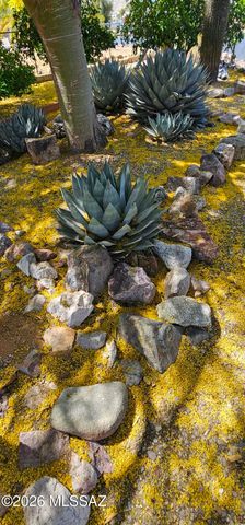 91 W Olive Drive, Green Valley, AZ 85614