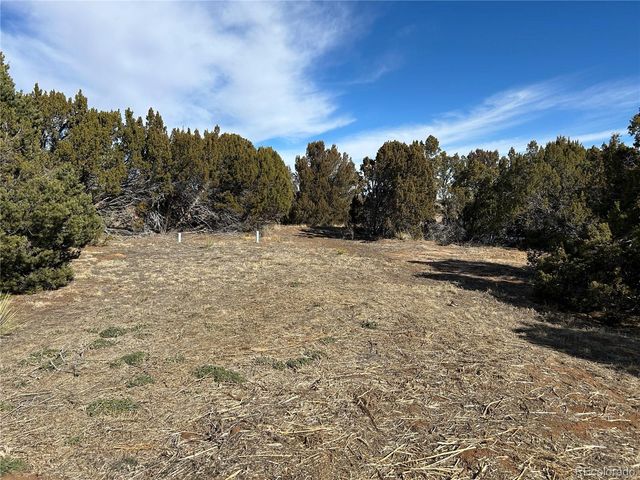 250 Mt Mestas Drive, Walsenburg, CO 81089