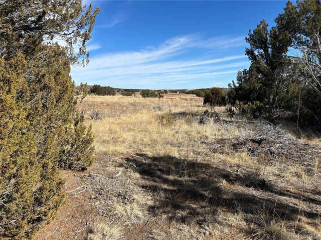 250 Mt Mestas Drive, Walsenburg, CO 81089