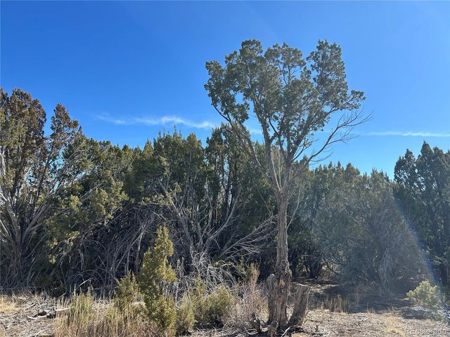 250 Mt Mestas Drive, Walsenburg, CO 81089