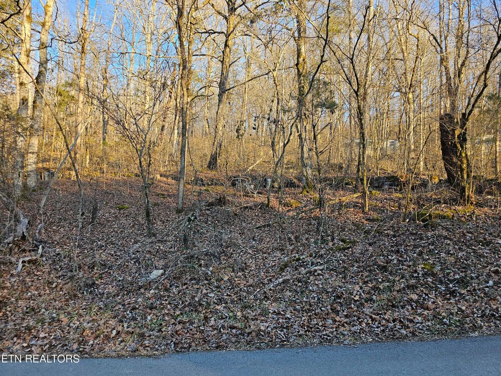 Blue Springs Rd, Speedwell, TN 37870