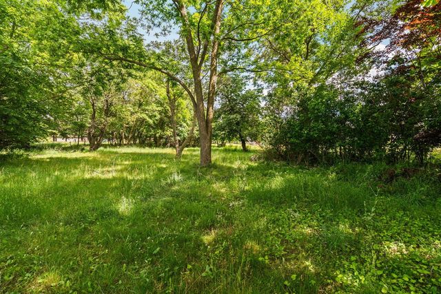 18250 Bush Road, Chelsea, MI 48118