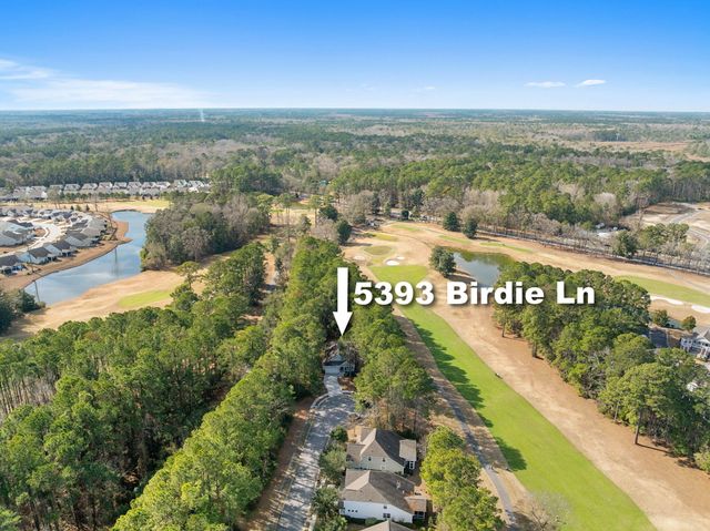 5393 Birdie Lane, Hollywood, SC 29449