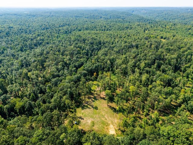 885 Dyer Rd, Hurricane Mills, TN 37078