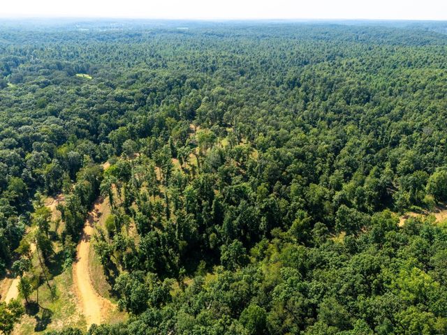 885 Dyer Rd, Hurricane Mills, TN 37078