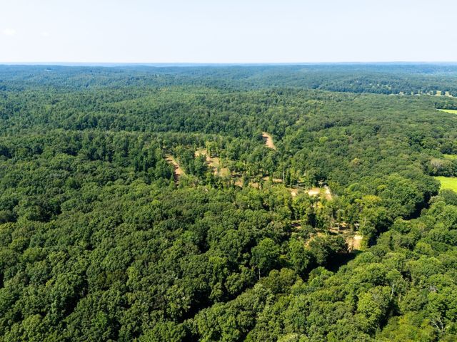 885 Dyer Rd, Hurricane Mills, TN 37078