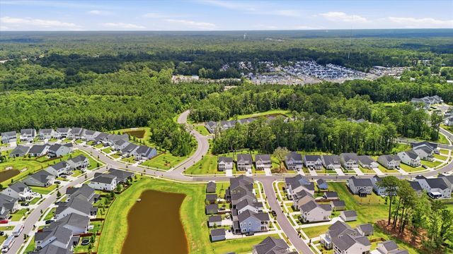 96 Red Bluff Street, Summerville, SC 29483