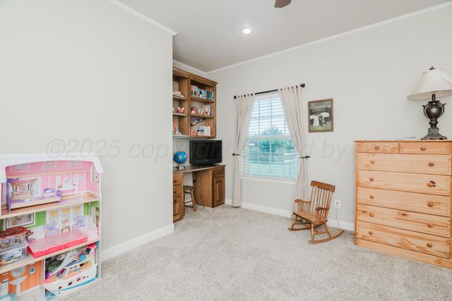 9151 ARENA Drive, Amarillo, TX 79119