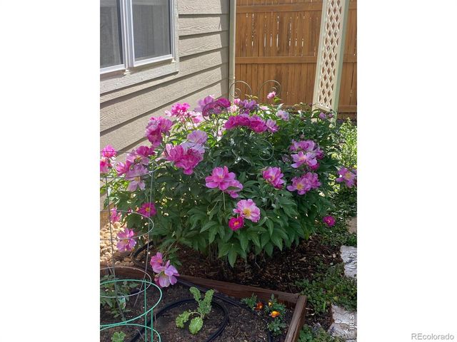 5870 Summerset Avenue, Longmont, CO 80504