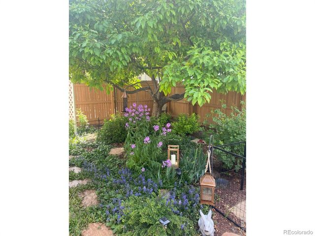 5870 Summerset Avenue, Longmont, CO 80504