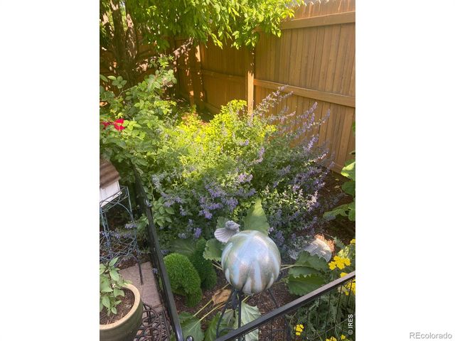 5870 Summerset Avenue, Longmont, CO 80504