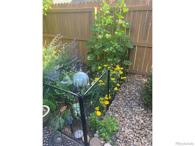 5870 Summerset Avenue, Longmont, CO 80504