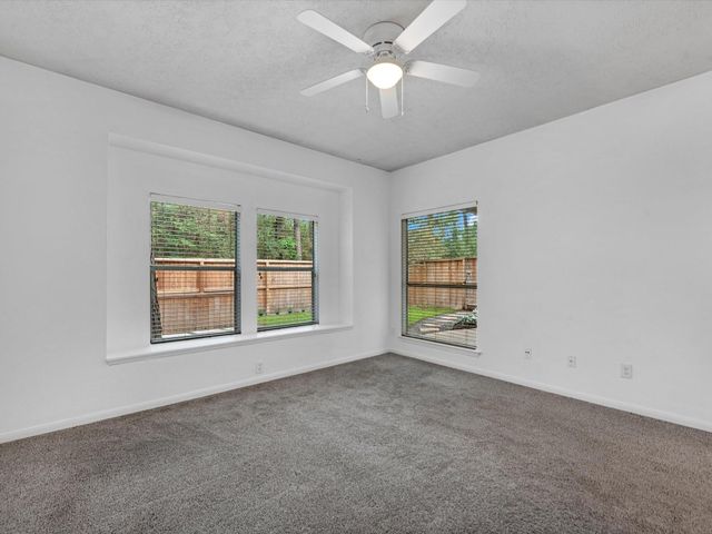 142 N Magnolia Pond Place, The Woodlands, TX 77381