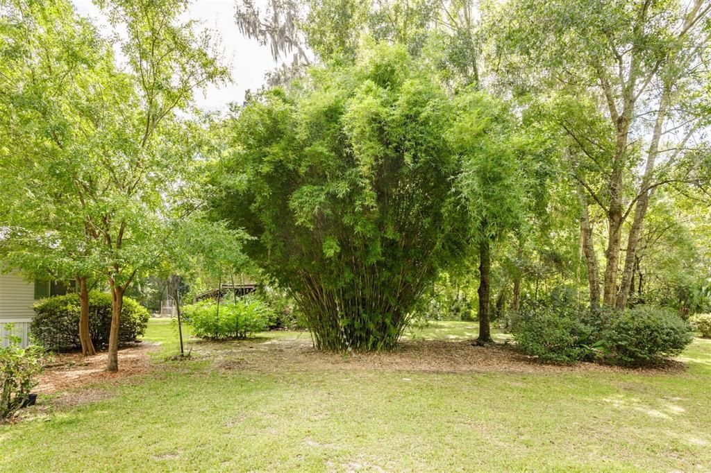 Image 38 of property listing at 6527 SE 155TH STREET, Hawthorne, FL 32640