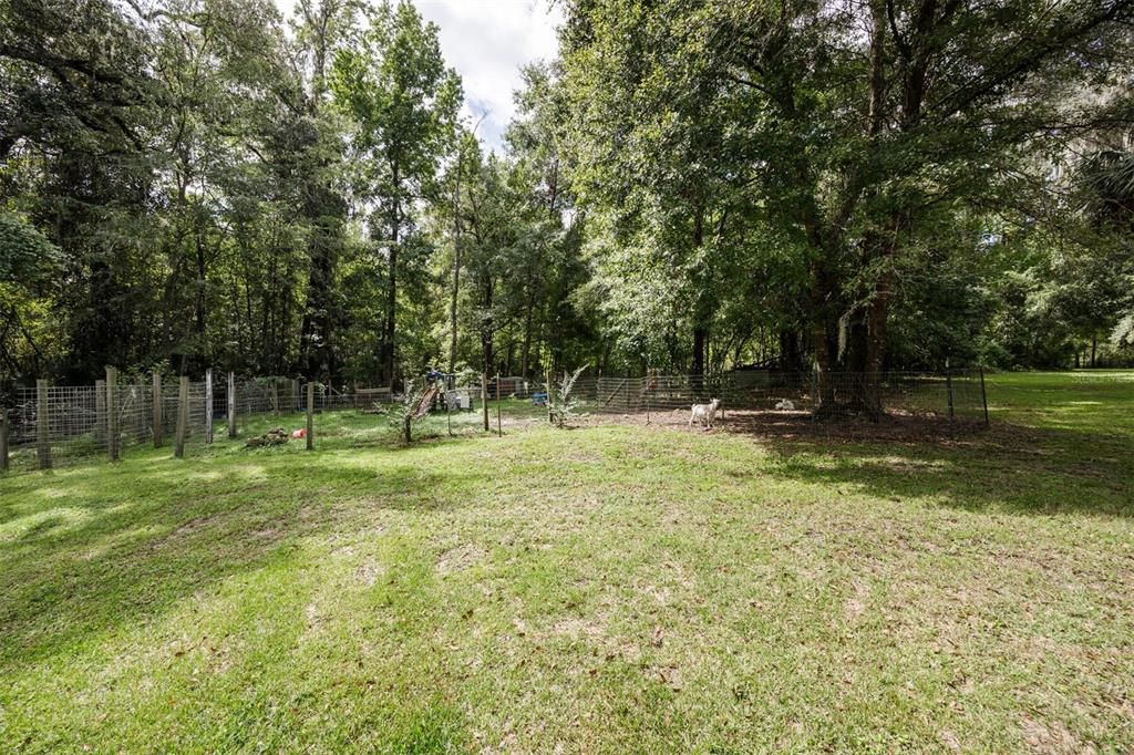 Image 41 of property listing at 6527 SE 155TH STREET, Hawthorne, FL 32640