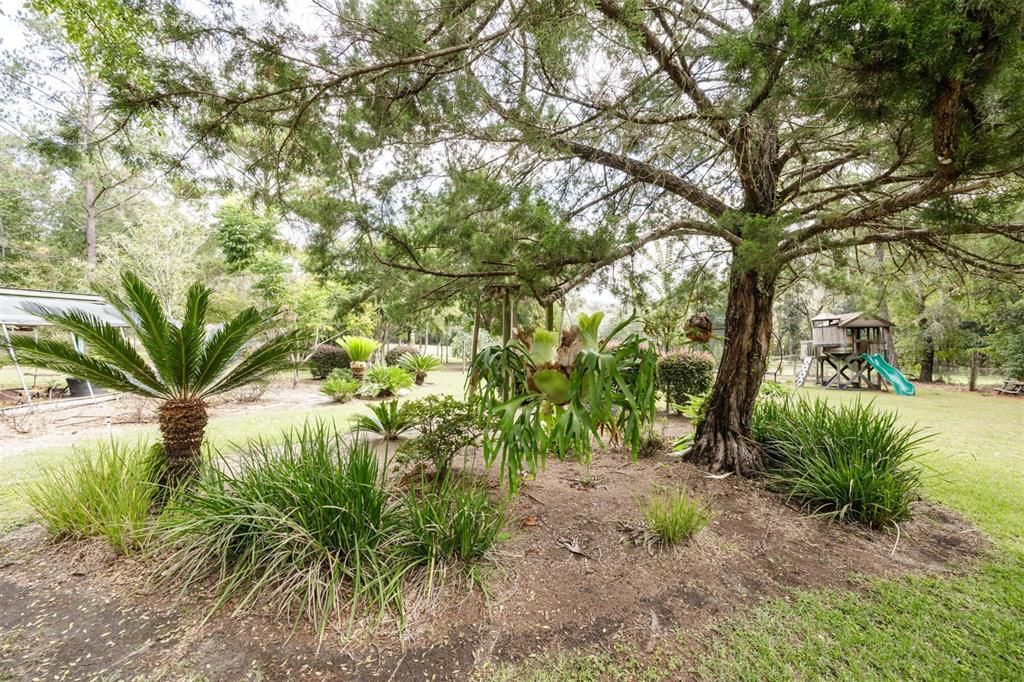 Image 43 of property listing at 6527 SE 155TH STREET, Hawthorne, FL 32640