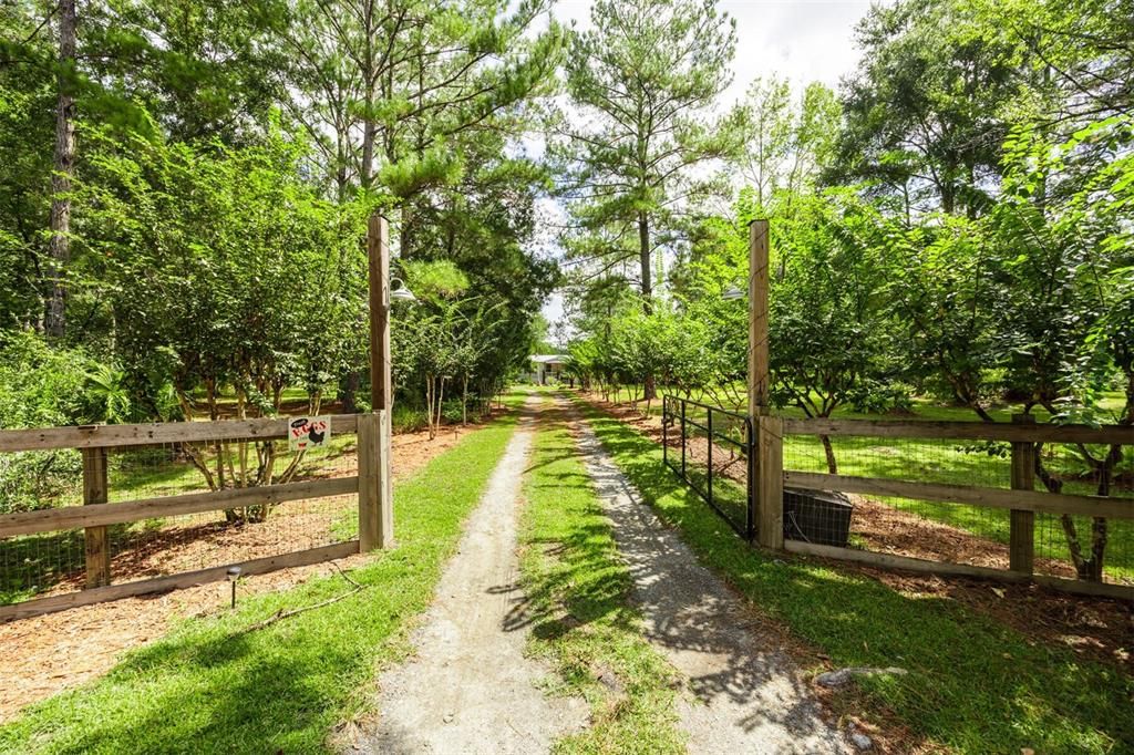 Image 6 of property listing at 6527 SE 155TH STREET, Hawthorne, FL 32640