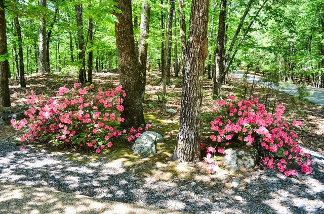 21 Badajoz Way, Hot Springs Village, AR 71909