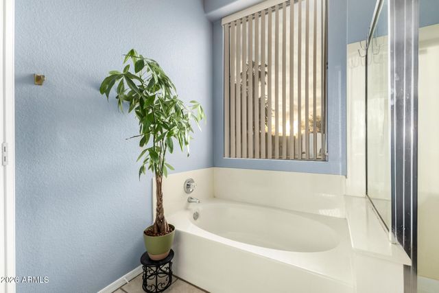 1142 N JOSHUA TREE Lane, Gilbert, AZ 85234