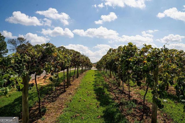 84 Bravo Rivera Way, Ellijay, GA 30536