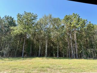Lot 8 Stonebrook Drive, Livingston, TX 77351