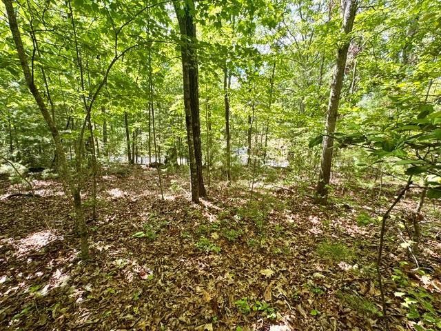 LT 3 Rockridge Road, Murphy, NC 28906