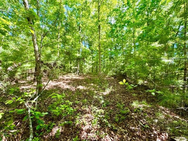 LT 3 Rockridge Road, Murphy, NC 28906