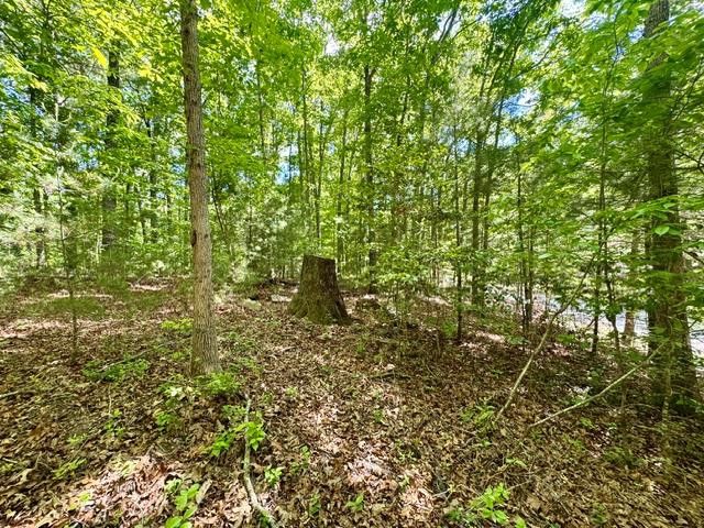 LT 3 Rockridge Road, Murphy, NC 28906