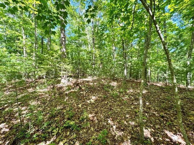 LT 3 Rockridge Road, Murphy, NC 28906