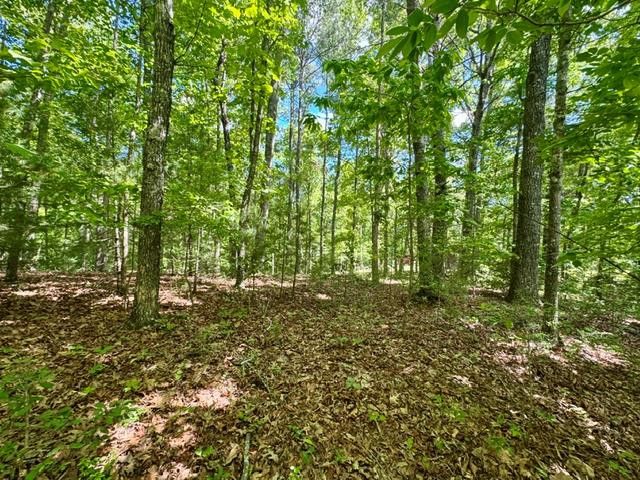 LT 3 Rockridge Road, Murphy, NC 28906