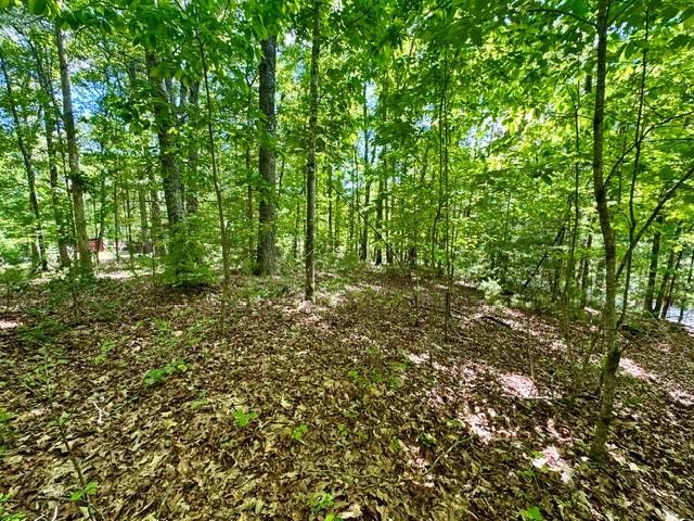 LT 3 Rockridge Road, Murphy, NC 28906