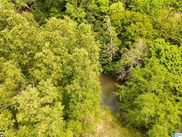 1336 ESTES ROAD, Piedmont, AL 36272