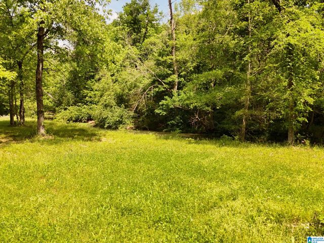 1336 ESTES ROAD, Piedmont, AL 36272