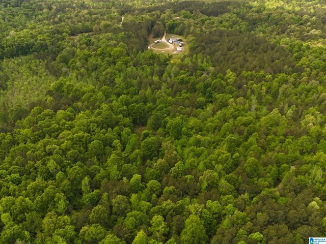 1336 ESTES ROAD, Piedmont, AL 36272