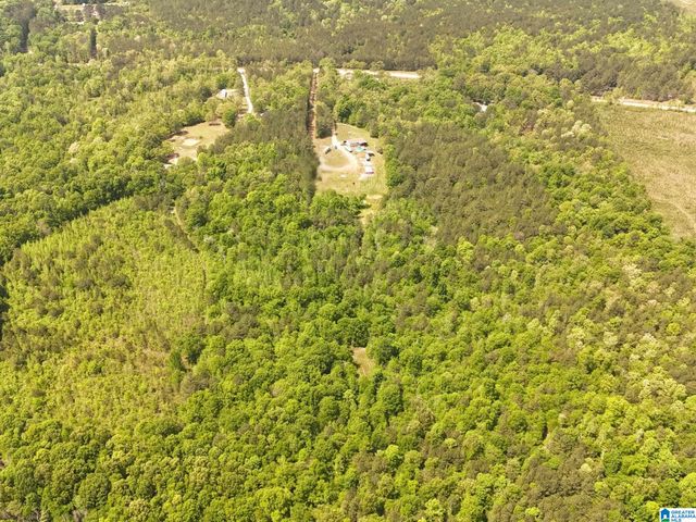 1336 ESTES ROAD, Piedmont, AL 36272