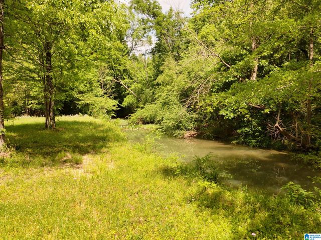 1336 ESTES ROAD, Piedmont, AL 36272