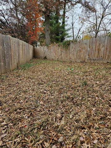 311 Olive Street, Hannibal, MO 63401