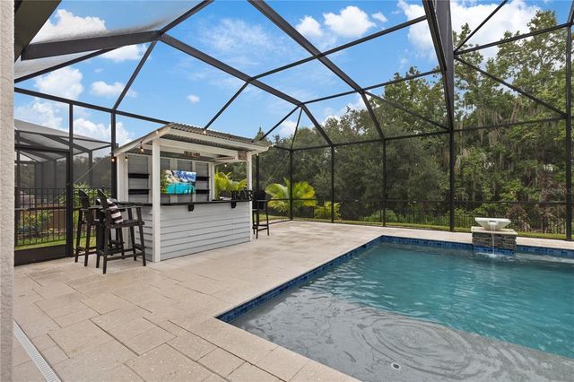 13029 PADDOCK WOOD PLACE, Riverview, FL 33579