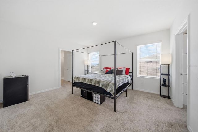 10885 PENNY GALE LOOP, San Antonio, FL 33576