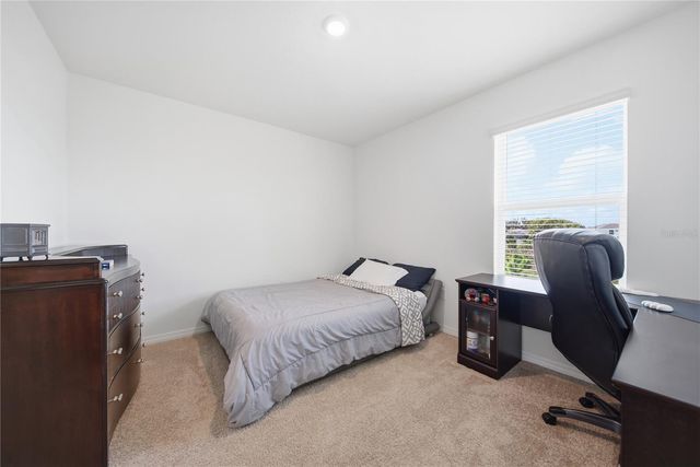 10885 PENNY GALE LOOP, San Antonio, FL 33576