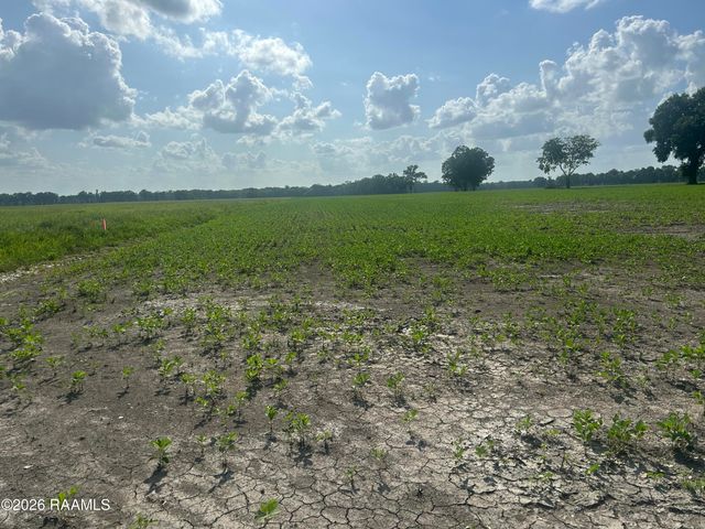 Oscar Rivette Road, Arnaudville, LA 70512