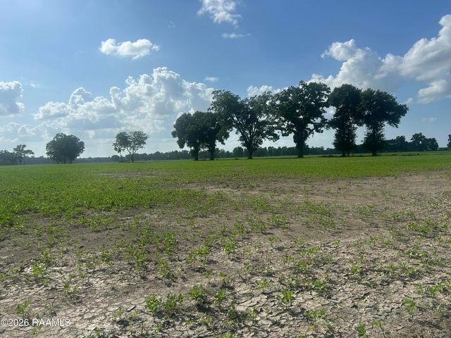 Oscar Rivette Road, Arnaudville, LA 70512