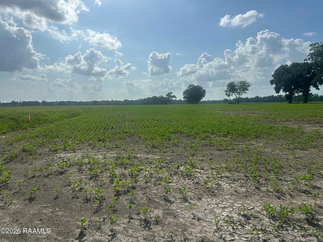 Oscar Rivette Road, Arnaudville, LA 70512